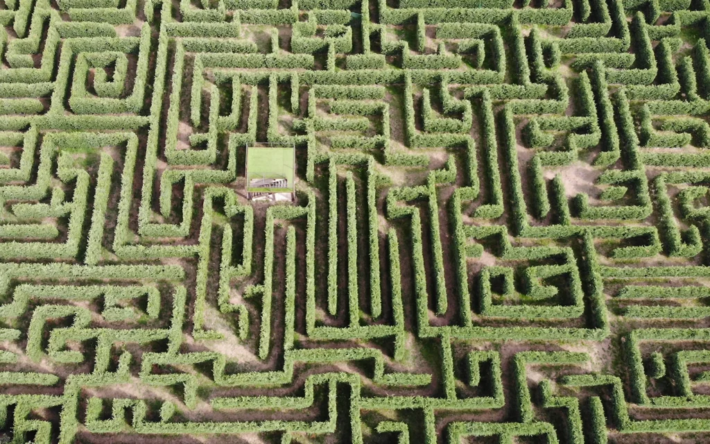 Detalle más cercano de los diferentes caminos que componen el laberinto de Tilde